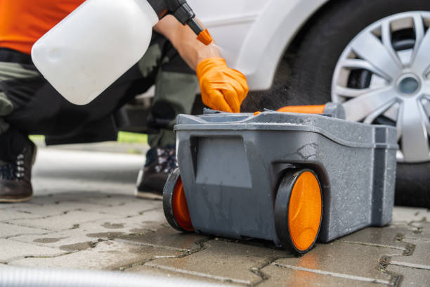 Best Seasonal Cleanup (Spring/Fall)  in Woodcreek, TX